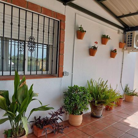 Andalusian Farmhouse With Barbecue, Pool And Wifi 말라가 외부 사진