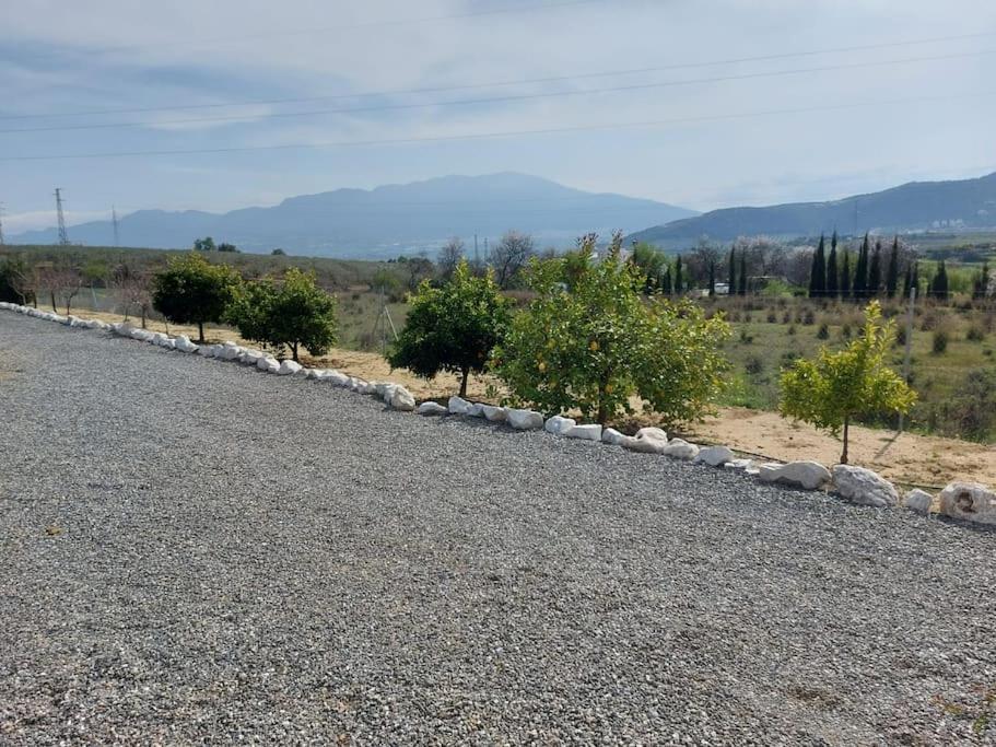 Andalusian Farmhouse With Barbecue, Pool And Wifi 말라가 외부 사진